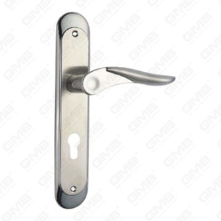Poignée de levier de poignée de porte en acier inoxydable de haute qualité (HL804H-HK23-SS)