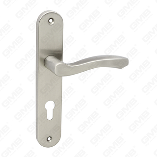 Poignée de levier de poignée de porte en acier inoxydable de haute qualité (62 45-0)