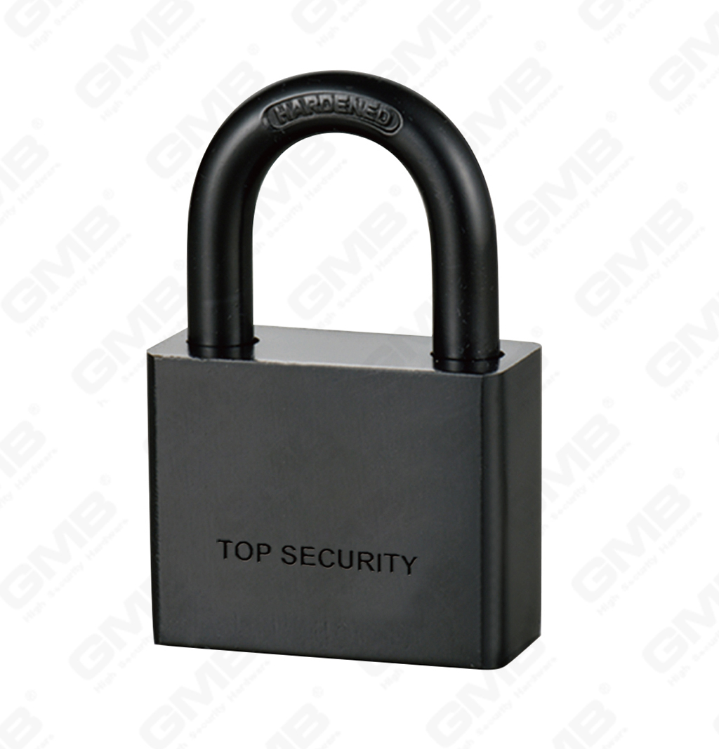 挂锁网站图3_【123】CADENAS &Agrave; DISQUE DE FER NOIR D'&Eacute;LECTROPHORESE-28