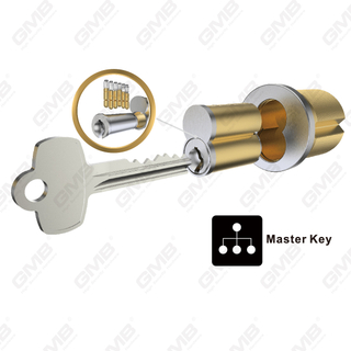 Cylindre interchangeable dans les appartements Clé maître （R8）