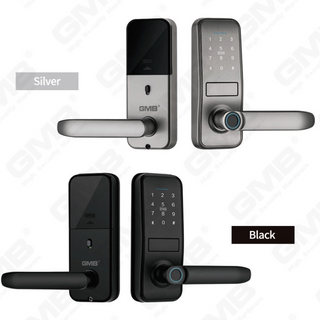 Smart Dead Bolt Lock (710)