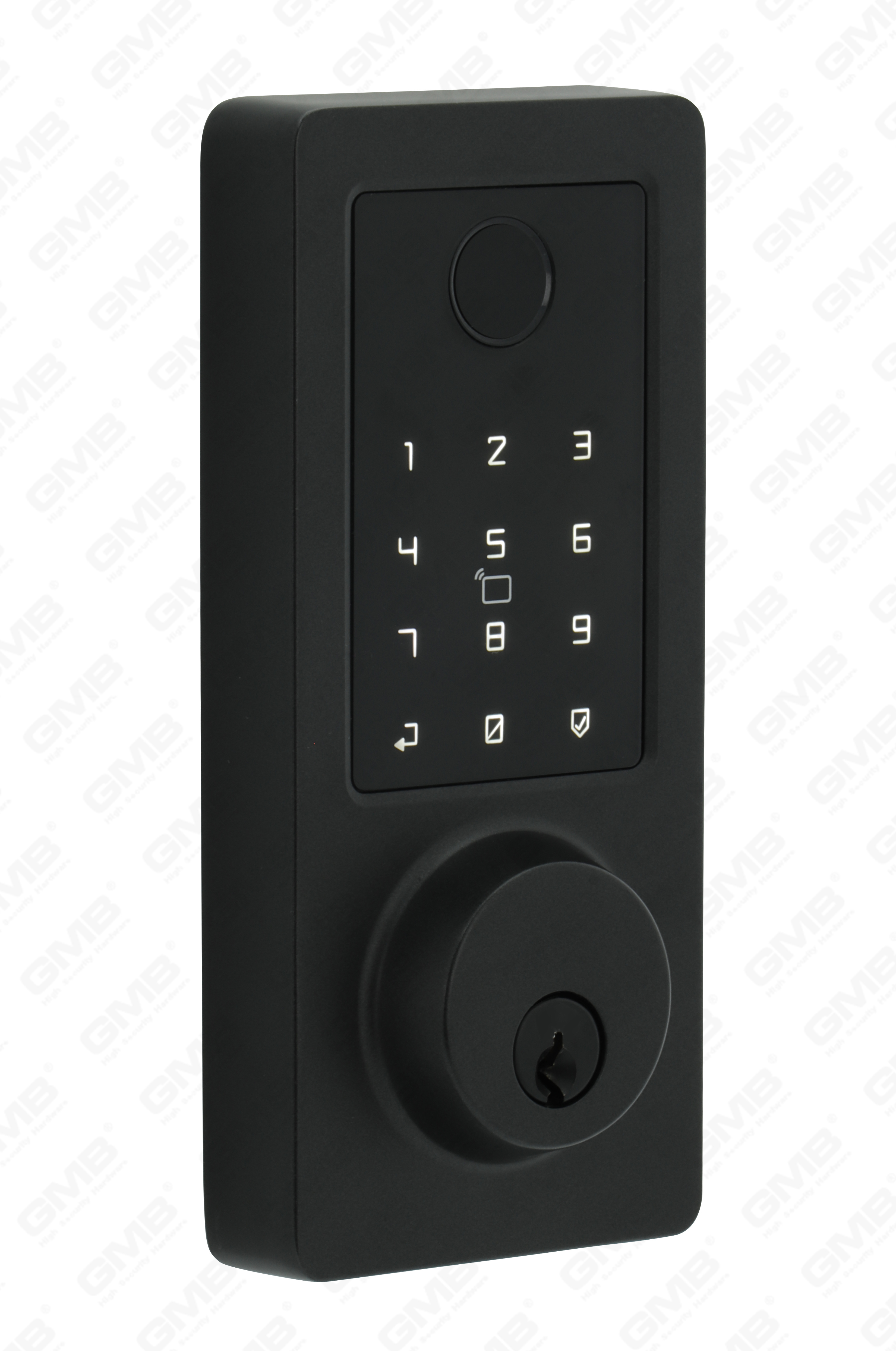 American standard étanche sans clé entrée sans clé Tuya / TT Wireless Motword Mot de passe digital empreinte MF Carte Smart Door Lock (A015)