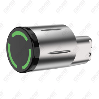 High Security Multi-Unkerlocking Ways IP65 WiFi WiFi Digital Réglable Profil modulaire Smart Electronic Door Lock Cylinder （5A09）