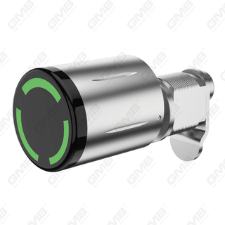 High Security Multi-Unkerlocking Ways IP65 WiFi WiFi Digital Réglable Profil modulaire Smart Electronic Door Lock Cylinder （5A08）