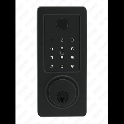 American standard étanche sans clé entrée sans clé Tuya / TT Wireless Motword Mot de passe digital empreinte MF Carte Smart Door Lock (A015)