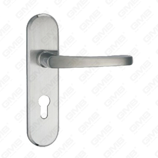 Poignée de levier de poignée de porte en acier inoxydable de haute qualité (HM513-HK53-SS)