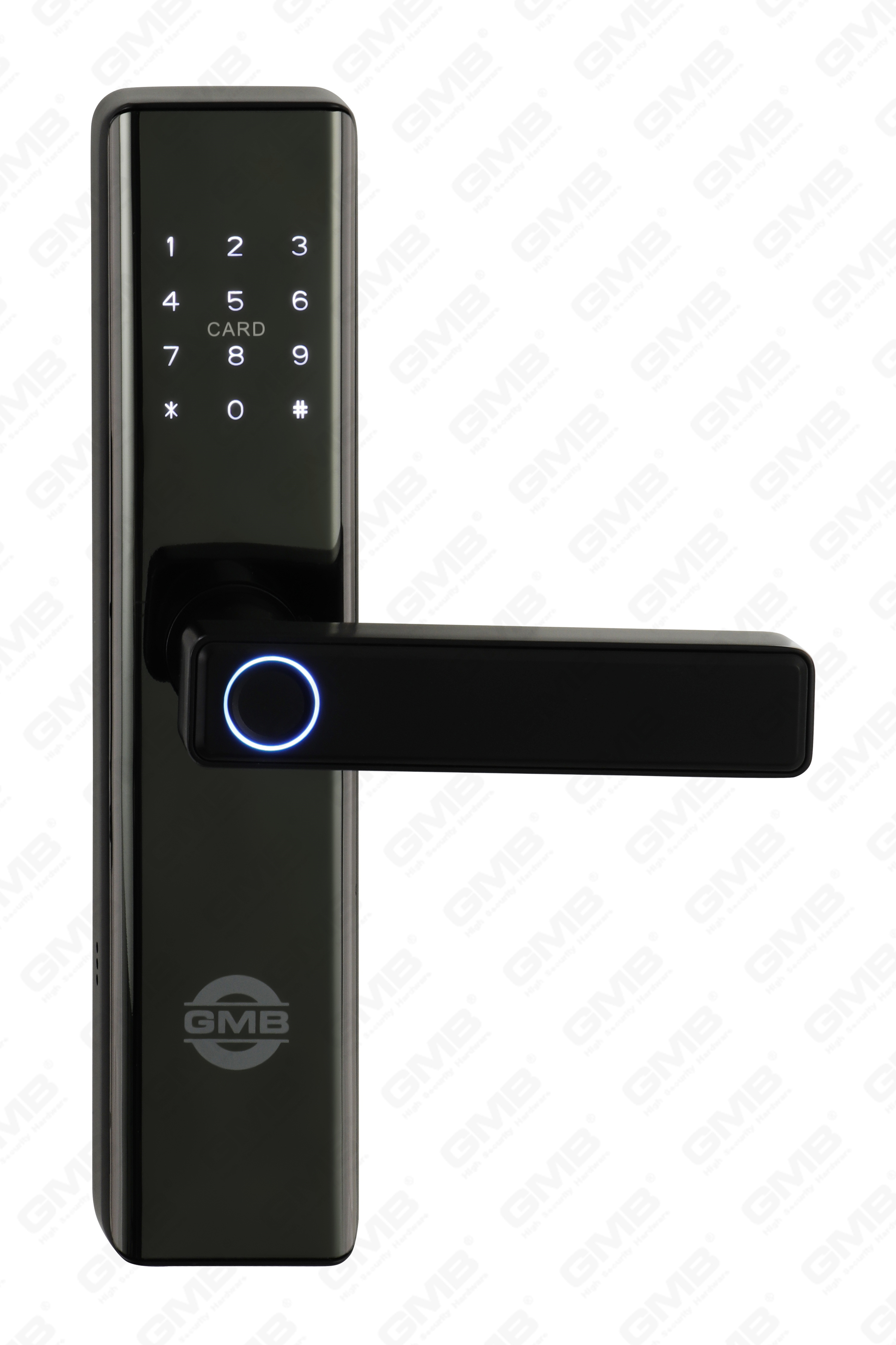 Empreinte digitale haute sécurité / carte RFID / WiFi / Tuya / TT application Digital Smart Door Lock (660)