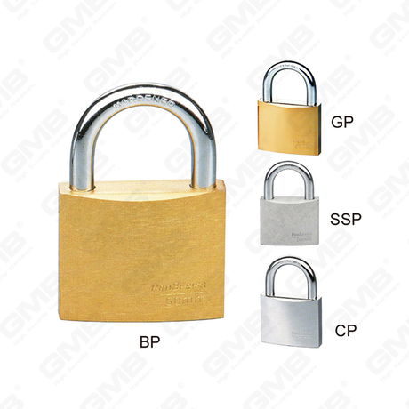 CADENAS EN FER MODÈLE EUROPÉEN DE TAILLE MOYENNE (009)