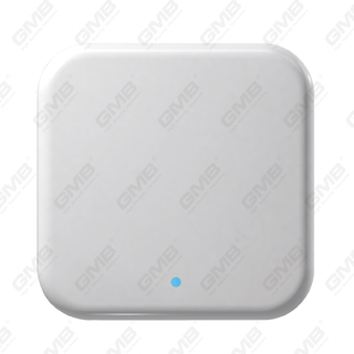 TTLOCK Gateway WiFi Smart Digital Gateway pour Smart Lock Remote Control (G2)