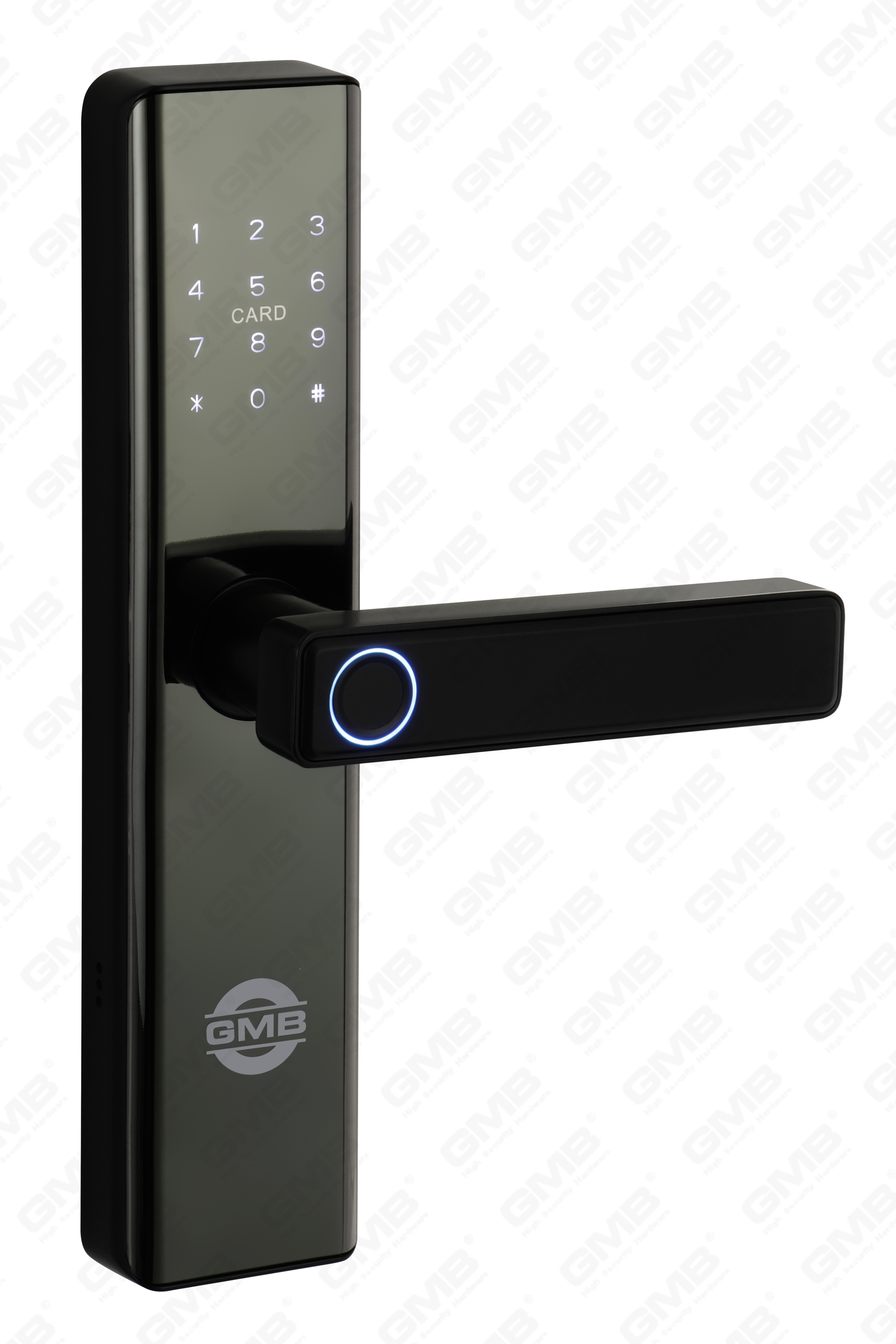 Empreinte digitale haute sécurité / carte RFID / WiFi / Tuya / TT App / avec caméra Intelligent Anti-PEP Digital Smart Door Lock (660p)