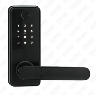 Entrée sans clé American standard étanche sans clé Tuya / TT Wireless Digital Mot de passe digital empreinte MF Carte Smart Door Lock (A012)