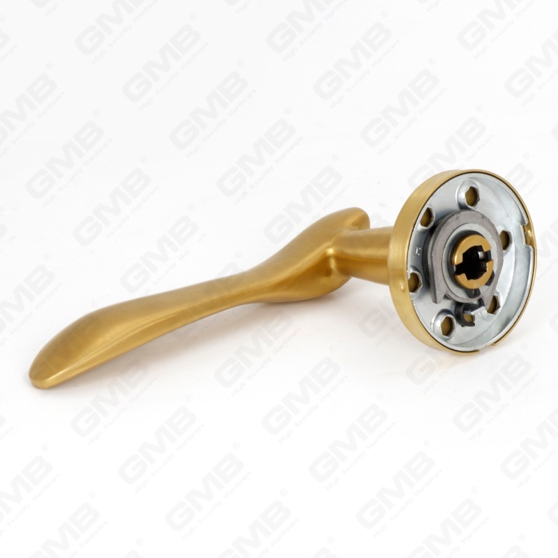 Poignée de levier de porte intérieure ronde d'entrée en acier inoxydable SUS304 de haute qualité BS En1906 Grade 4 (LHT012)