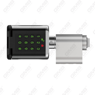 MOT-SECTIVE MULTIFORME MULTIFORMES IP66 Mot de passe digital Mot de passe WiFi WiFi Digital Réglable Profil Tuya / TT App Smart Electronic Door Lock Cylinder (5D03)