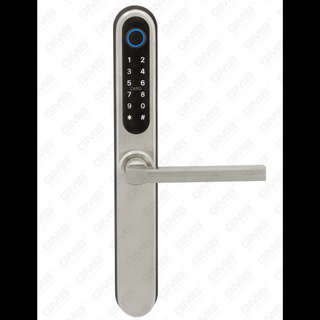 ENTREPRISE EURNÉE EURNÉE ENTRÉE SANS KEVELLE TT TT WIRESS Digital Mot de passe d'empreinte digitale MF Carte Smart Door Lock (U049)