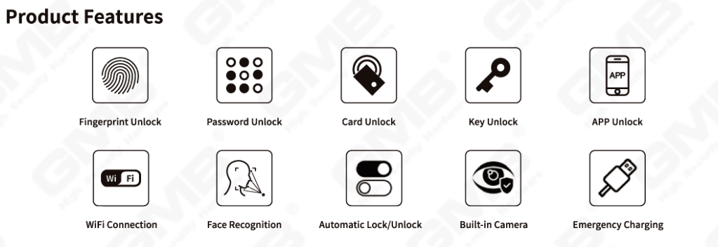 Reconnaissance du visage Smart Lock (825)