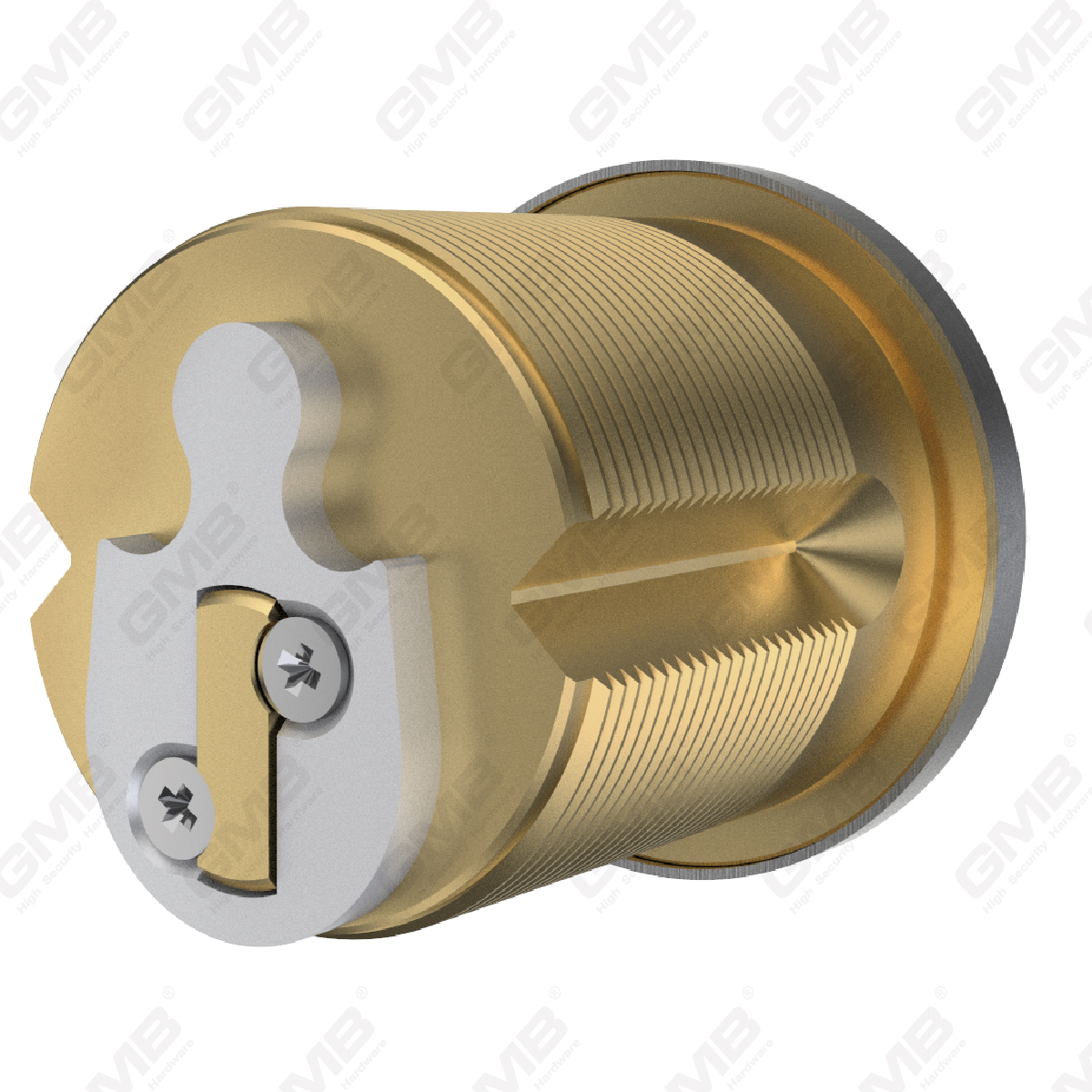 Cylindre interchangeable dans les appartements Clé maître （R8）