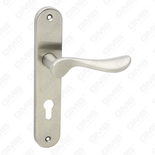 Poignée de levier de poignée de porte en acier inoxydable de haute qualité (62 51-04)