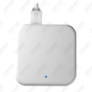 G3P WiFi Ble POE TTLOCK Gateway pour Smart Lock et autres appareils TTLOCK (G3P)