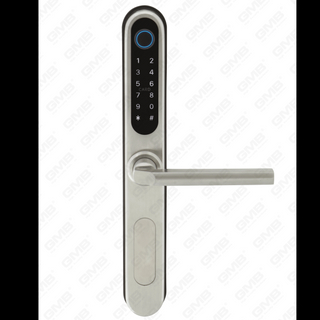 ENTRÉE EURNOR EURNÉNÉE ENTRÉE SANS KEVELLE SANS KEVELLE TUYA / TT WIRESS Digital Mot de passe digital Carte MF Card NFC Smart Door Lock (U052)