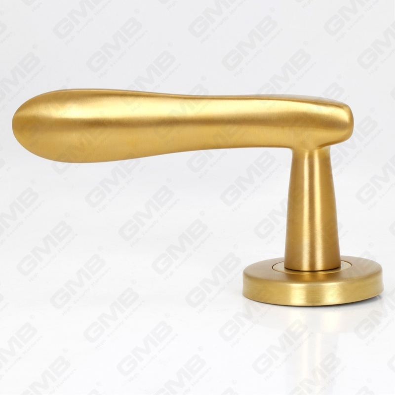 Poignée de levier de porte intérieure ronde d'entrée en acier inoxydable SUS304 de haute qualité BS En1906 Grade 4 (LHT012)