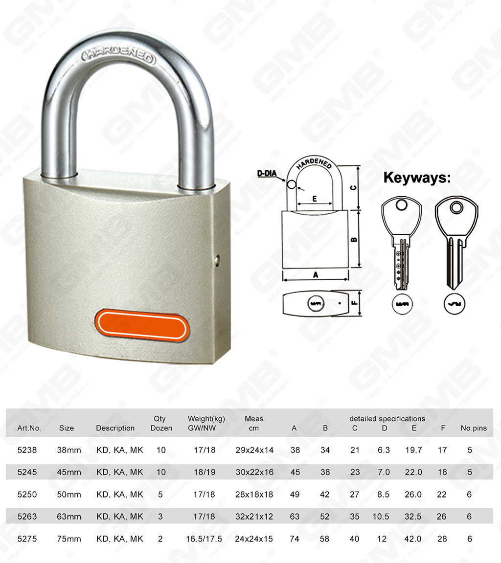 挂锁网站图2_【052】CADENAS EN FER PIANT&Eacute; &Agrave; SPRAY DE NICKEL AVEC CL&Eacute; D'ORDINATEUR-24