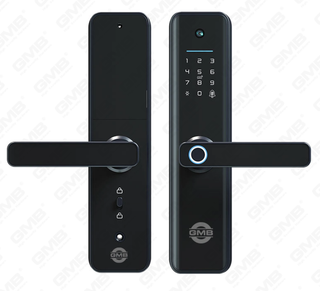 Empreinte digitale haute sécurité / carte RFID / WiFi / Tuya / TT App / avec caméra Intelligent Anti-PEP Digital Smart Door Lock (660p)