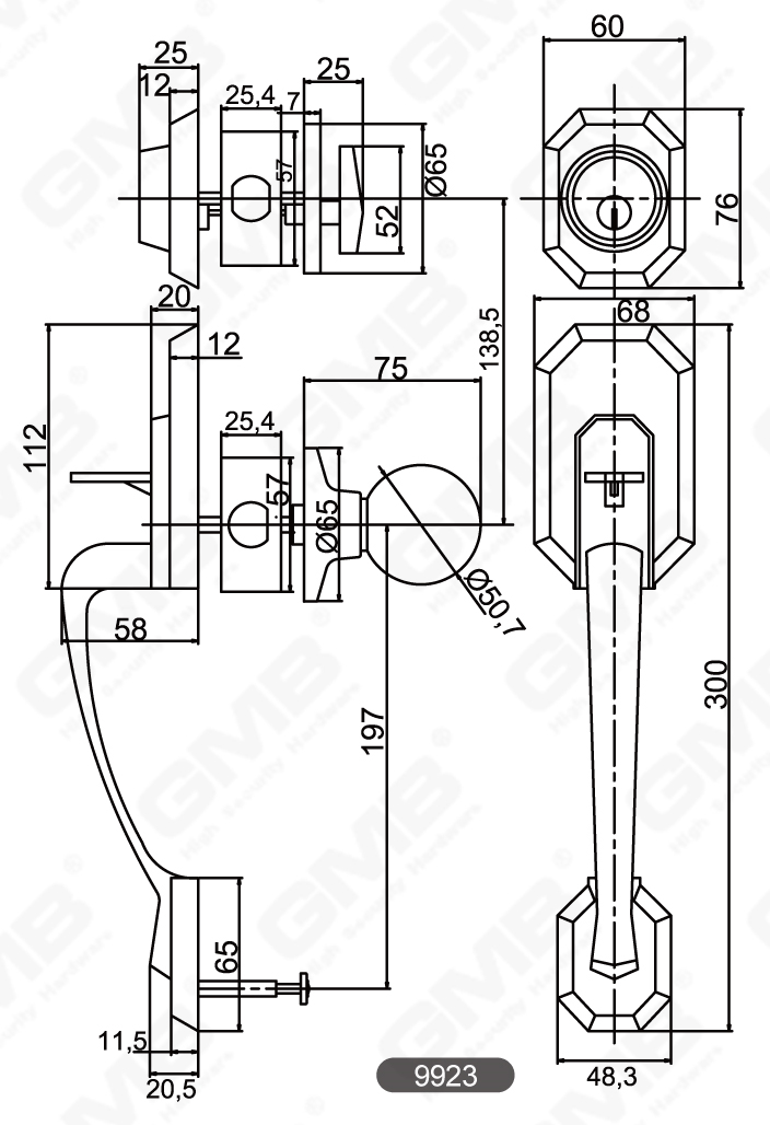 01 Grip Handle Lock Series-30