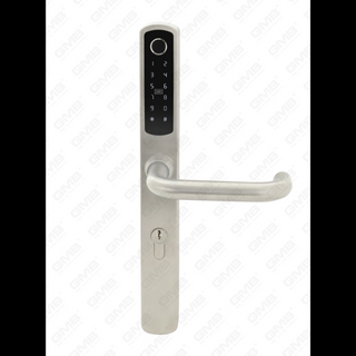 Europe étanche étanche Entrée sans clé TT TT Wireless Digital Mot de passe d'empreinte digitale MF Carte Smart Door Lock (U018)