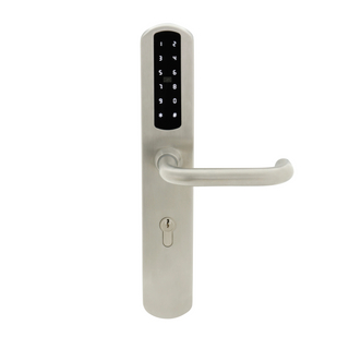 ENTREPRISE EURNÉE EURNÉE ENTRÉPROPOS SANS KEVES TT TT Mot de passe numérique sans fil MF MF Card Smart Door Lock (U020)