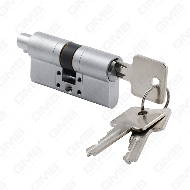 En1303 Cylindre de serrure de porte modulaire d'extension en laiton de profil européen de haute sécurité (GMB-CY-37T)