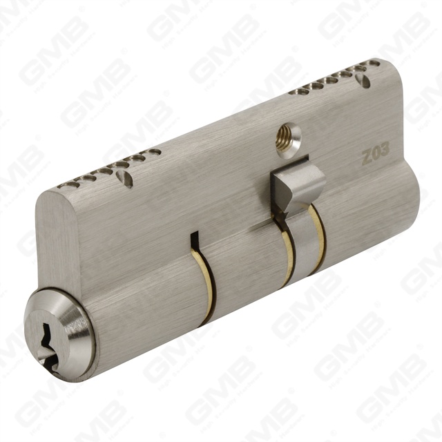 CYLINDRE DE FONCTION breveté Anti-effraction de technologie (Z03)