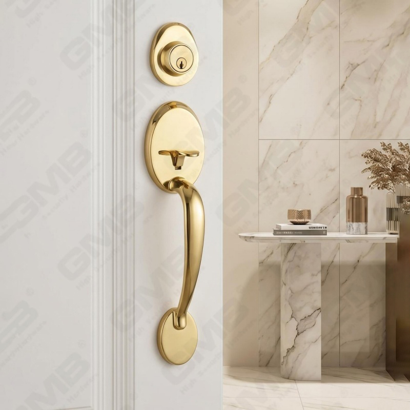 Ensemble de poignées de porte d'entrée, nouveau Design, leviers de porte d'entrée, ensembles de verrouillage (70710)