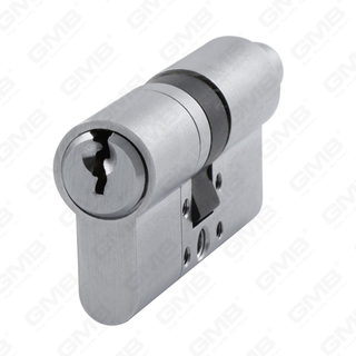 En1303 Cylindre de serrure de porte modulaire d'extension en laiton de profil européen de haute sécurité (GMB-CY-37T)